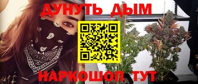 СК Сланцы