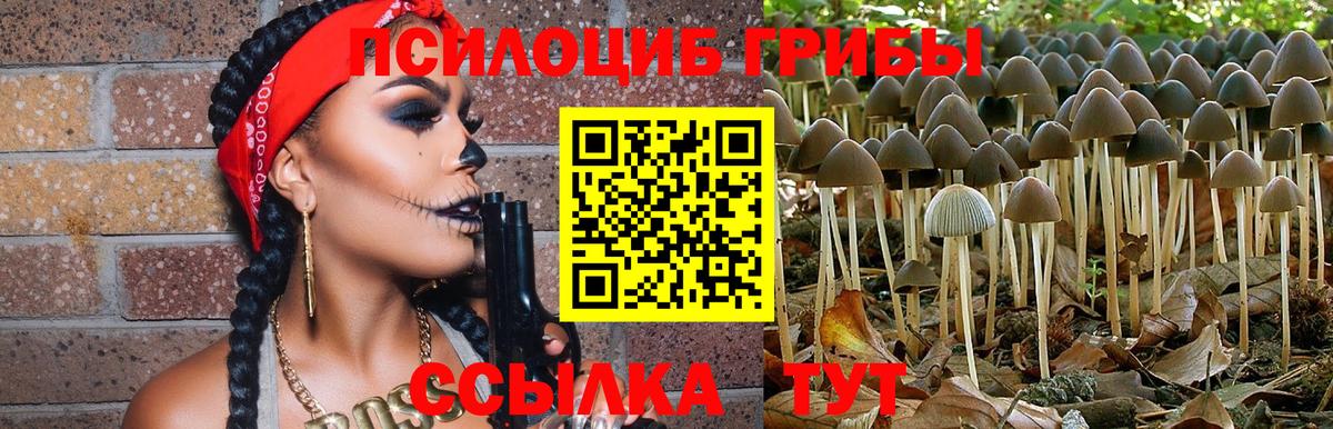 Псилоцибиновые грибы прущие грибы Бахчисарай