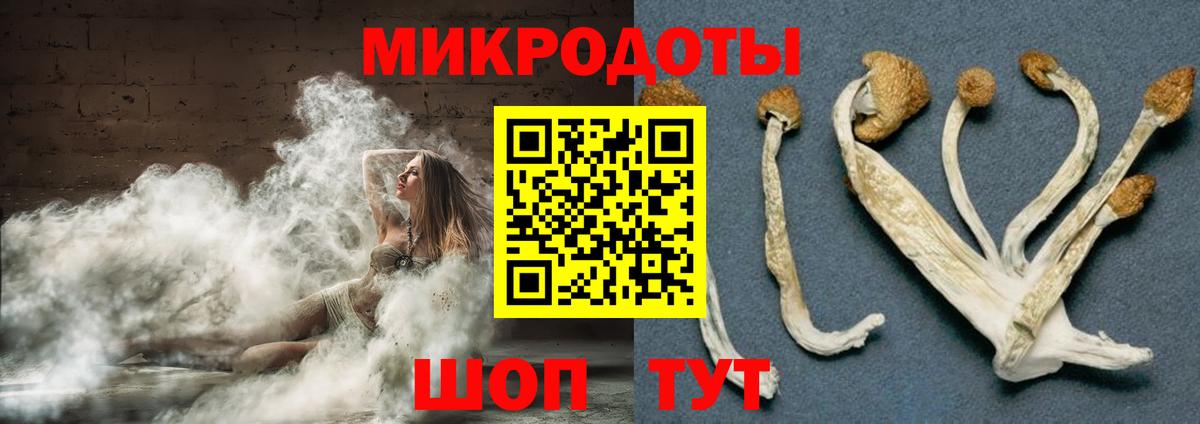 Бахчисарай  Псилоцибиновые грибы Cubensis  Вход с VPN 